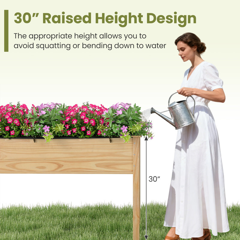 Mini lit de jardin surélevé en bois avec serre, Blanc / Beige