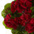 Geranium Bush Silk Plant-24745582