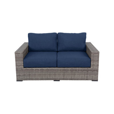 Kaiser 67'' Wide Metal Loveseat with Cushions