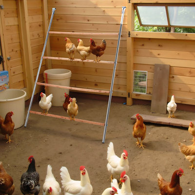 Chicken Coop Roosting Perch For Backyard Poultry