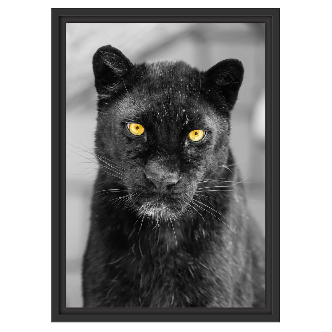 Gerahmtes Wandbild prächtiger Panther