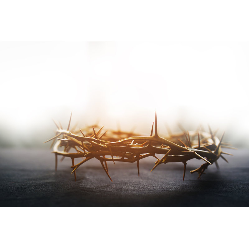 Crown Of Thorns Of Jesus by Freedom007 - Wrapped Canvas Print, 30cm H x 46cm W
