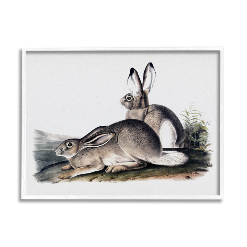 Reproduction d'art giclée par des lapins, H 11 po x l 14 po x P 1,5 po, Giclée encadrée blanc bord de mer