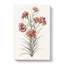 Six Carnations by Johan Teyler - Wrapped Canvas Painting-55318747