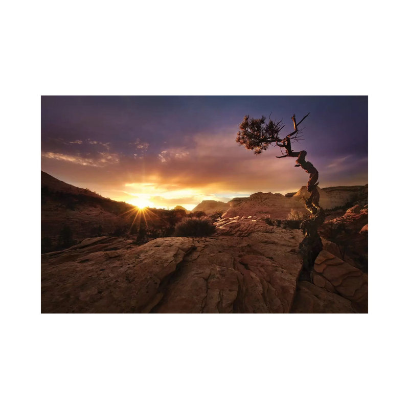 Distorted by Mirko Vecernik - Wrapped Canvas Gallery-Wrapped Canvas Giclée, 20.32 cm H x 30.48 cm W