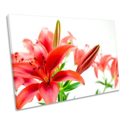 Tiger Lily Floral Flower - Wrapped Canvas Art Prints