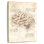 Keiri Human Brain