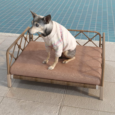 Wicker Dog Bed With 2'' Cushion,Rattan Dog Sofa Bed For Small Medium Dogs– Indoor/outdoor Metal Frame Pet Bed Up 66lbs(black Rattan Cushion)