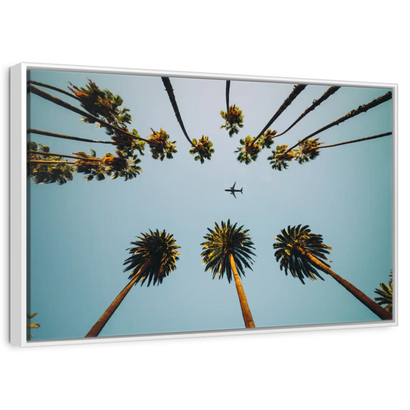 Avion sous les palmiers, Cadre flottant blanc, 31 po x 21 po