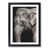 Black Framed selected