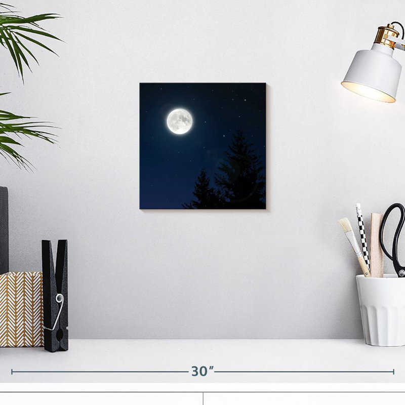 Pleine lune blanche Oberle, H 10 po x l 10 po