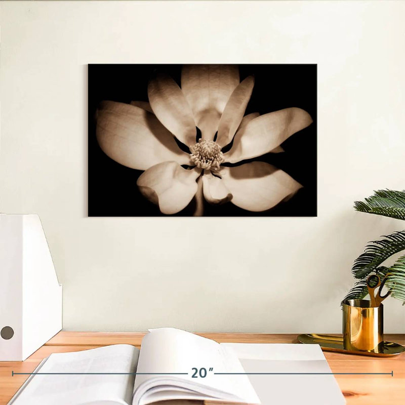 Magnolia éveillant Harnek, H 8 po x l 12 po