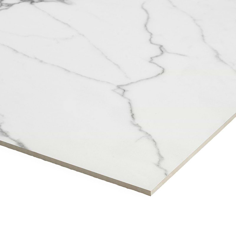 Dreamstone 24X24 Matte Porcelain Tile, Statuario Venato Matte