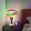 Lampe de table à DEL Irbin RVB