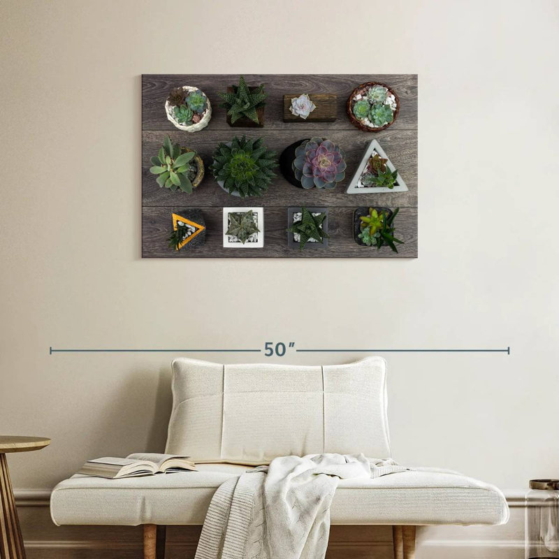 Harnek Assorted Succulents, 24" H x 36" W