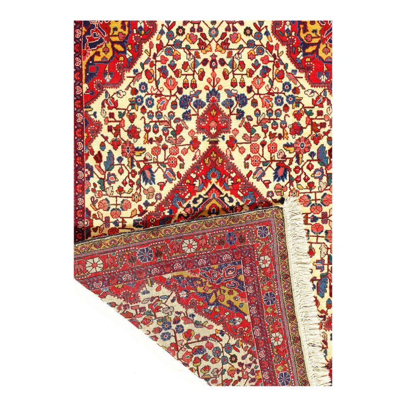Cadejuste Oriental Area Rug in Ivory