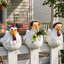 Drôles de statues de poulets de ferme-1454612607-1454612604