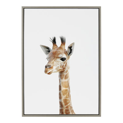 Animal Studio Giraffe by Amy Peterson Framed Canvas Wall Art Print