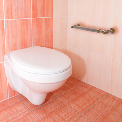 Grab Bar
