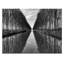 Photographers Lane - Wrapped Canvas Print-22471985