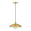 1 - Light Brass Pendant