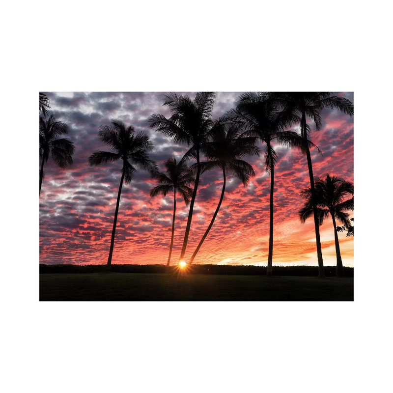 Palm Sunrise by Dennis Frates - Wrapped Canvas Print, 45.72cm H x 66.04cm W x 3.81cm D