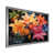 Silver Single Picture Framed