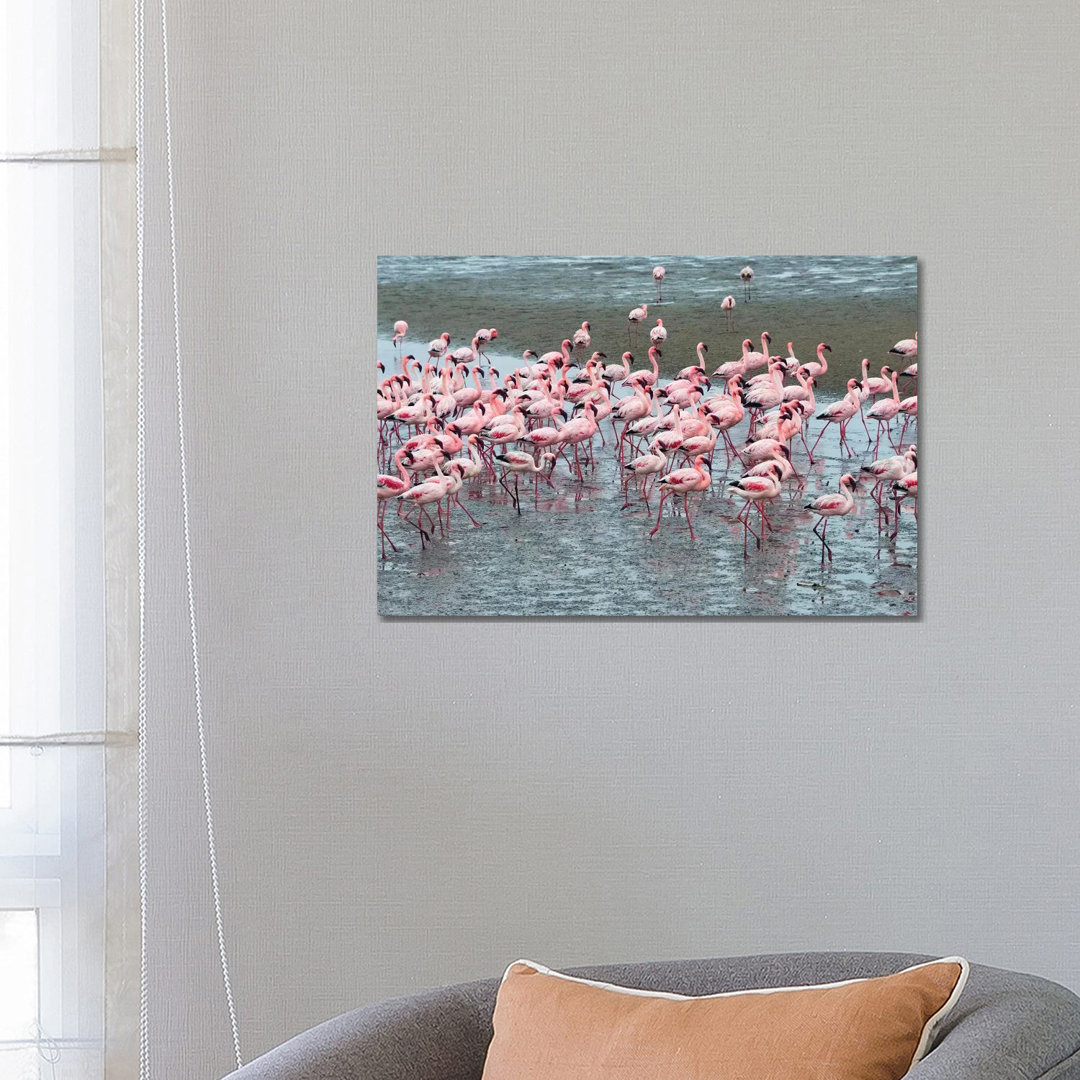 Flamingos, Walvis Bay, Erongo Region, Namibia by Keren Su - Wrapped Canvas Print