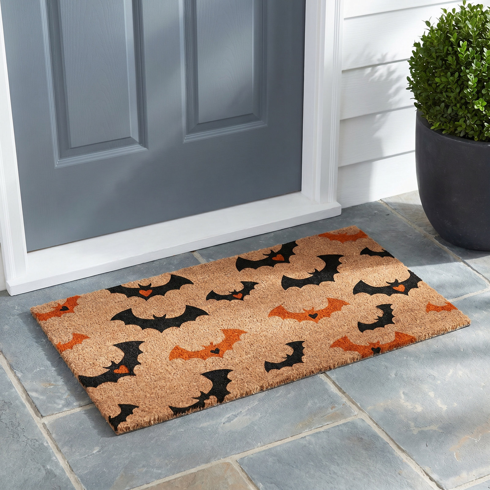 Dubree Non-Slip Halloween Outdoor Doormat, 18" W x 30" L