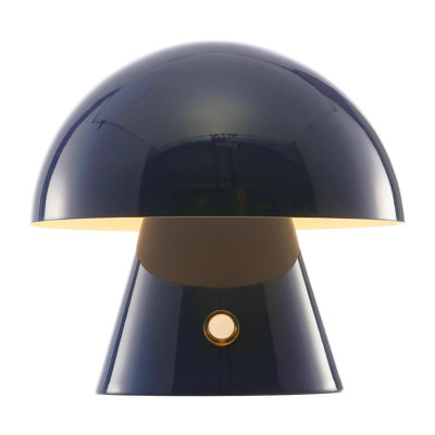 Xyanna Metal Desk Lamp