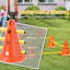 30cm H Plastic Dog Agility-115359579