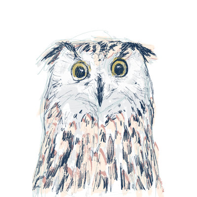 Funky Owl Portrait II