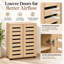 30 Pair Shoe Storage Cabinet