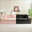 Pink&Blackturtle Velvet Double Chaise Lounge Multifunctional Lazy Sofa-843493891