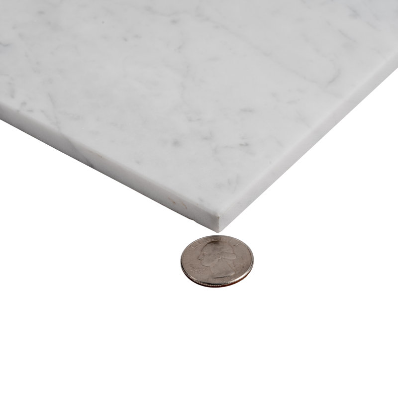 12" x 24" Marble Look Wall & Floor Tile, Gray