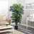  6.5ft. Golden Cane Palm Silk Tree