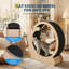 Scratching Post-1213672429-1213672402