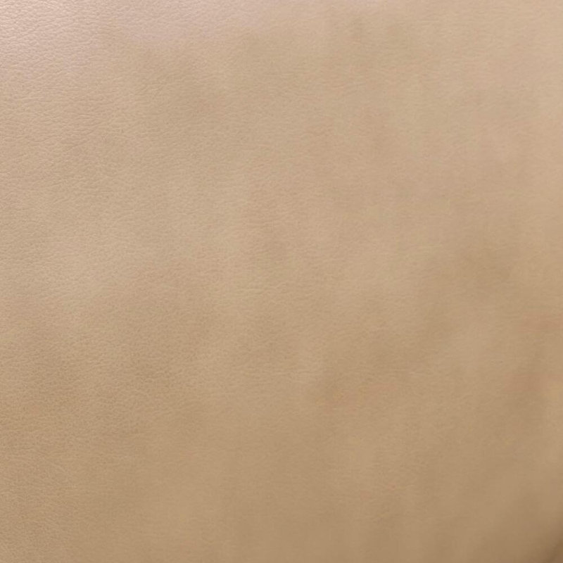  Fauteuil en cuir véritable, Tanné