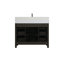 Meuble-lavabo simple 42 po_Traditional_VF60642-BS-20934088