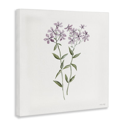 Toile botanique mauve Phlox, design par Cindy Jacobs