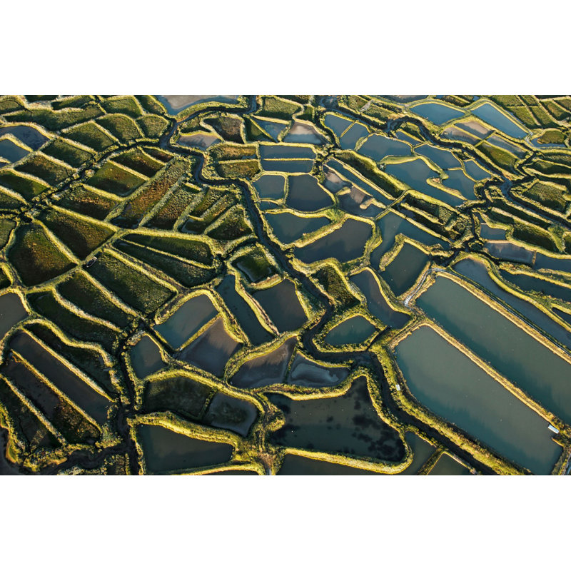 Waterways - Wrapped Canvas Print, 101 cm H x 152 cm W x 3.81 cm D
