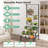 Baudouin Planter Accessory