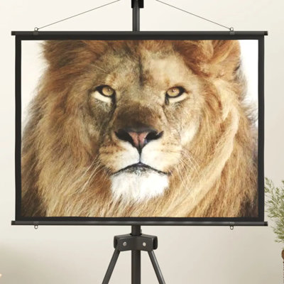Arev White 86cm H x 105cm W Electric Projection Screen