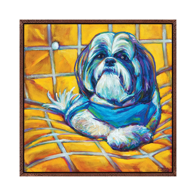 Shih Tzu by Robert Phelps - Print on Canvas, Classic Wood Framed, 45.72 cm H x 45.72 cm W