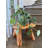 Alfarata Plant Stand