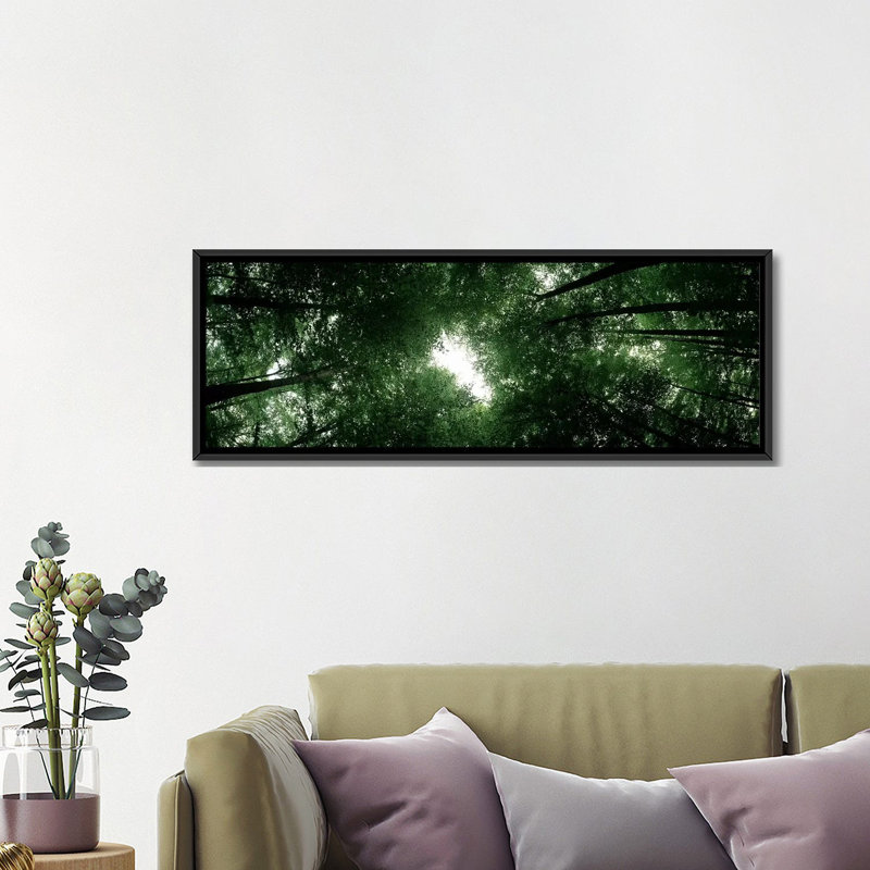 Reproduction de photo sur toile, panoramique, H 24 po x l 72 po x P 1,5 po, Toile encadrée noire