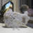 Elzie Landscape & Nature Crystal