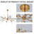24 - Light Sputnik Chandelier Dimmable