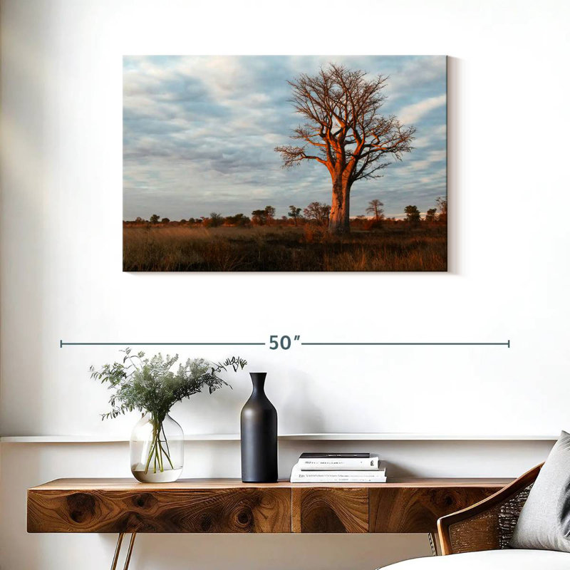 Baobab zambien Harnek, H 24 po x l 36 po