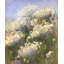 Queen Ann's Lace Print by Dina Gardner-753820923